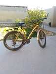 Velosiped olingandan keyin biroz haydalgan