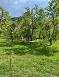 Teren de vis cu cabană, 3300 mp – Sotrile, Valea Doftanei