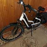 Bicicleta electrica Riese Muller