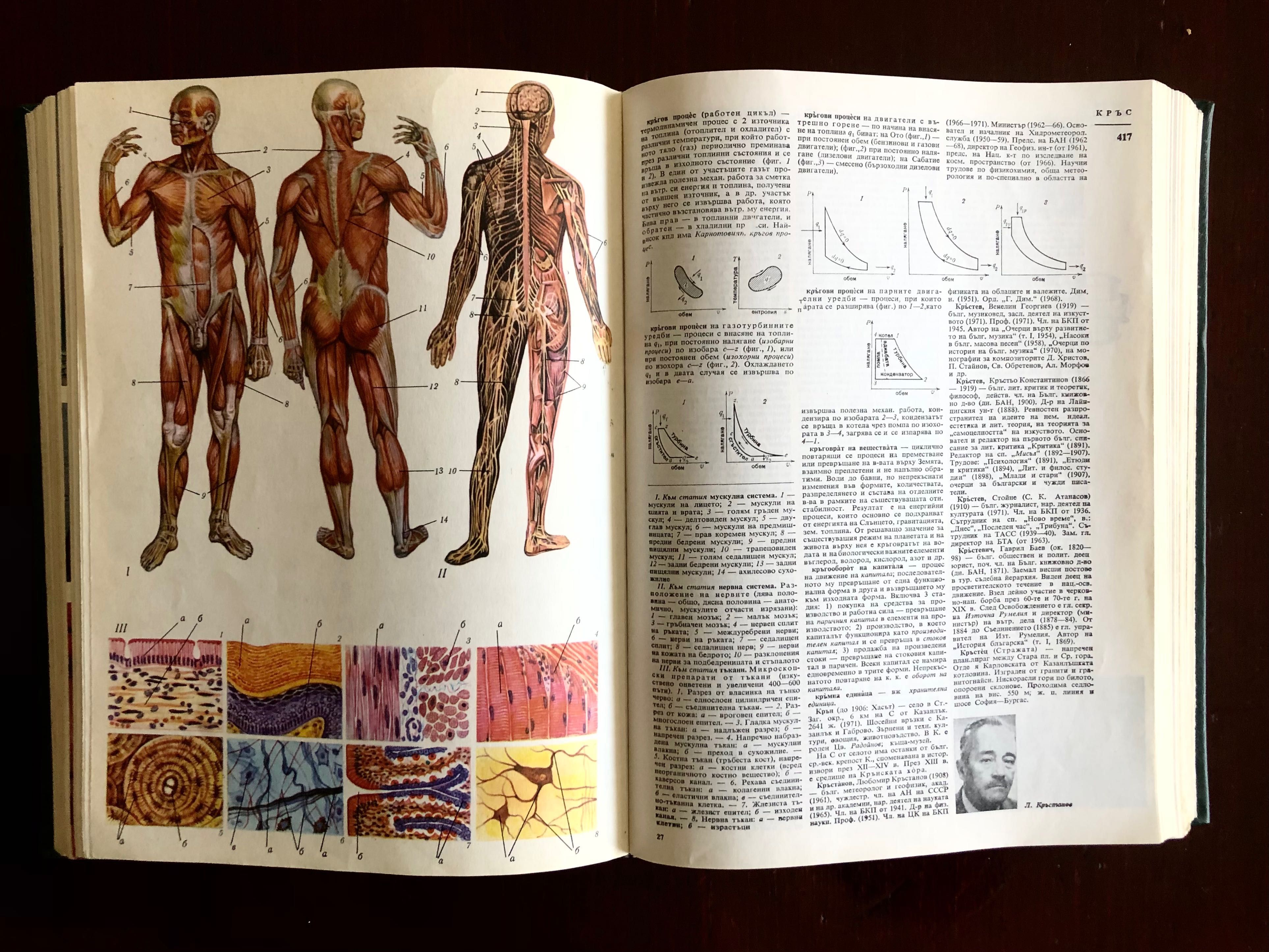 Българска Енциклопедия издадена от БАН през 1974 год. 975 стр.