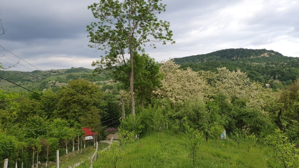 Teren Provita de Sus, Breaza