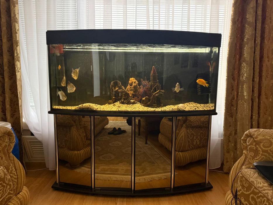 Аквариум (250л) с рыбками и тумбой