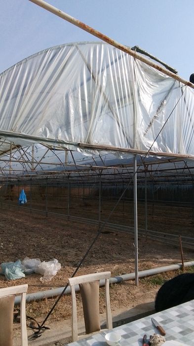 Теплица сотилади теплица сотилади теплица сотилади теплица сотилади