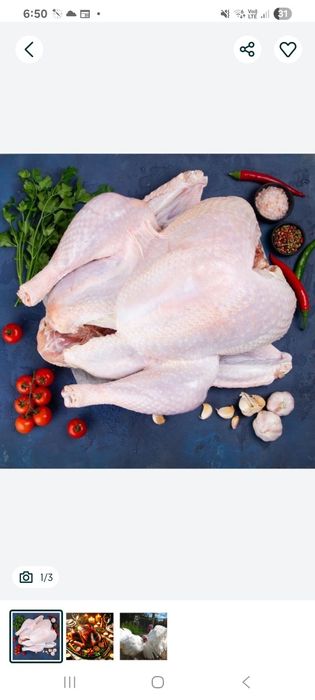 Broller damashniy kurka