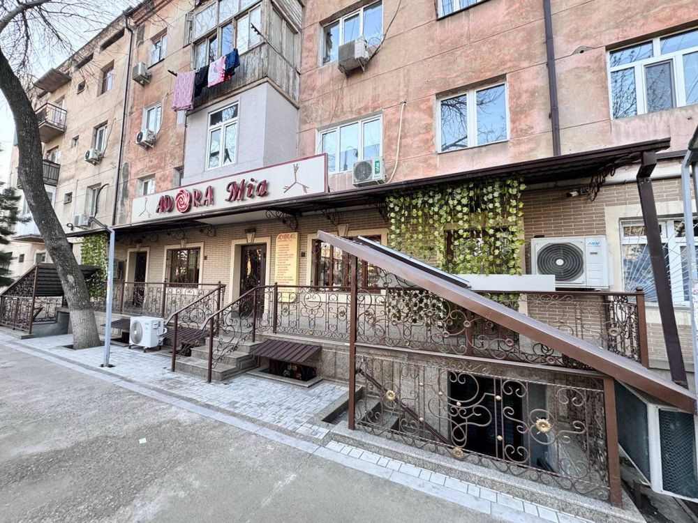 Саракулька Ориентир Американский Школа Продается Нежилой