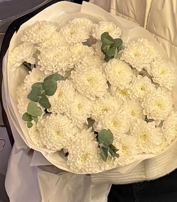 Хризантема свежий