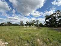 Teren intravilan de vanzare – 2200 mp, Sebes