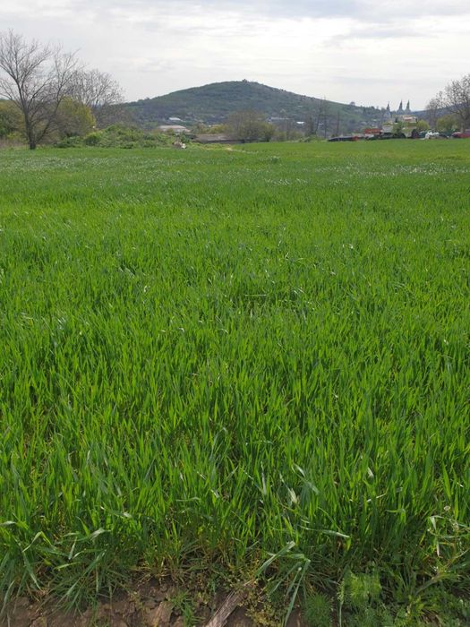 Ocazie. Teren 7000mp intravilan, sat Telita, Frecatei, jud. Tulcea.
