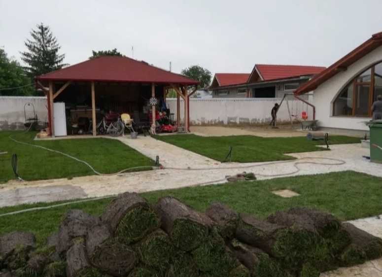 Gazon Rulou Calitate extra