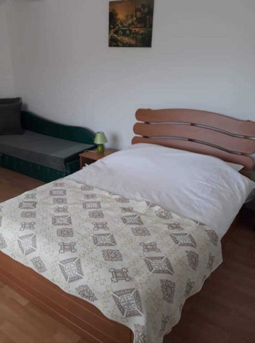 Cazare Pensiunea Nicoleta Costești Vâlcea disponibilă de Revelion 2026