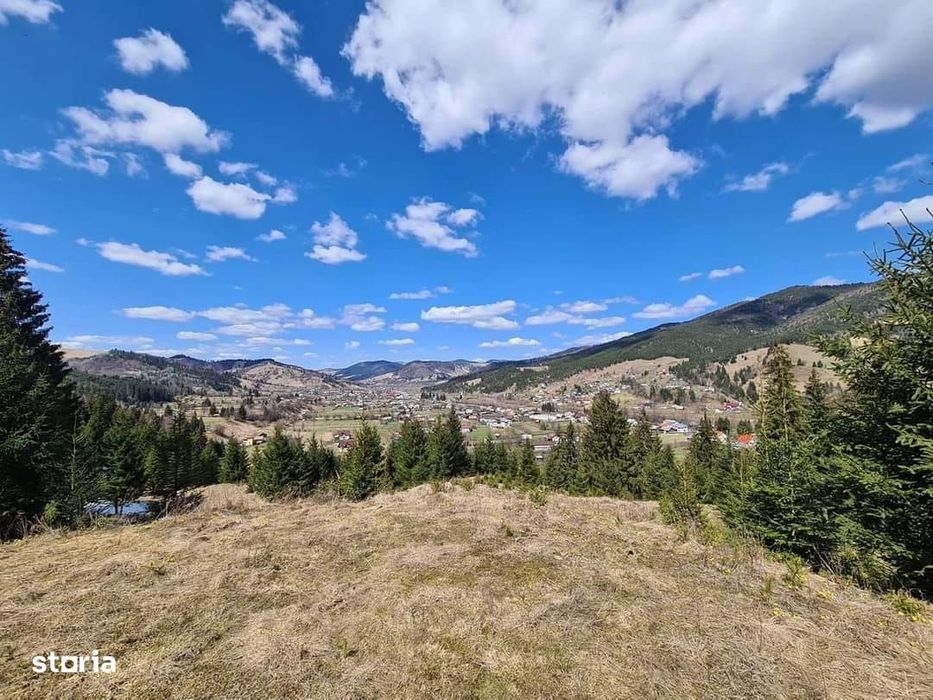 Vindem 80000 mp teren extravilan Bucovina