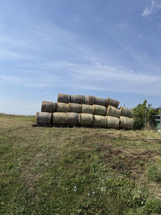 Vand baloti lucerna  rotunzi,mari