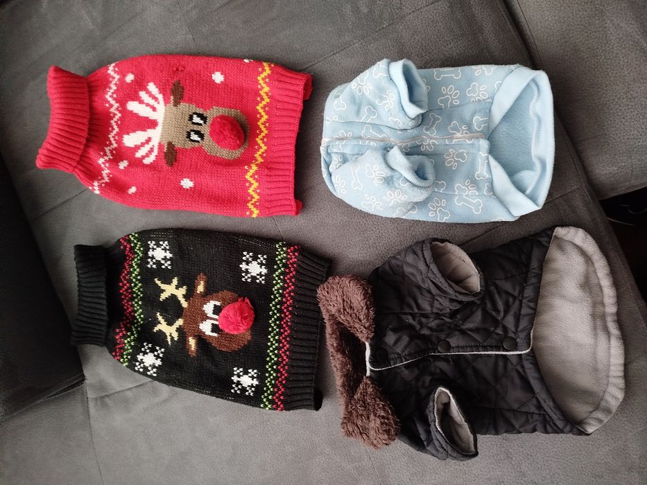 Дрехи за куче лот