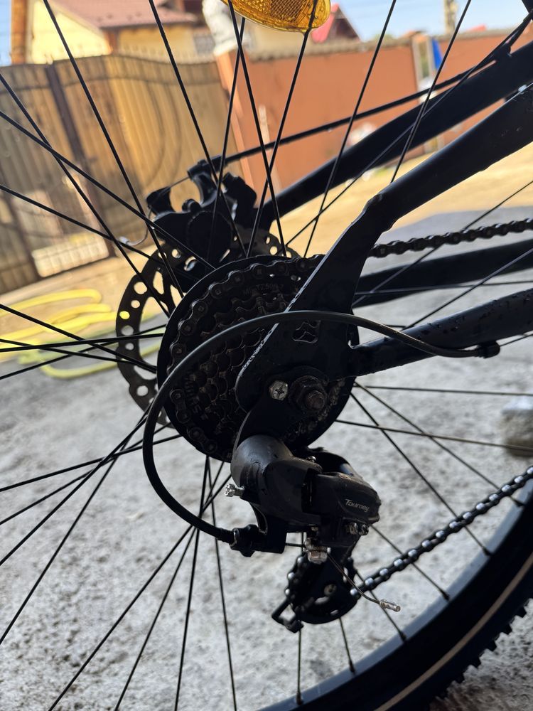 Vand bicicleta licorne bike strong d2