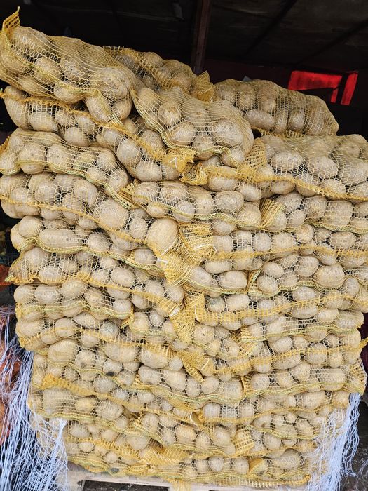 Oferim spre vânzare cartofi albi Cartof roșu, Mere ,pere ,varza Țelină