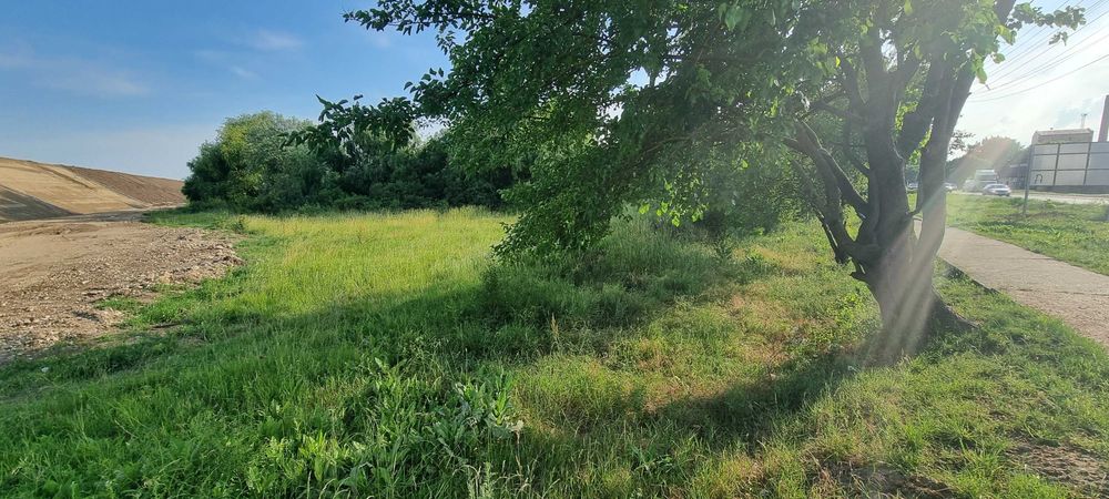 Vand/Inchiriez/Schimb teren neam. in TM, langa centura-Freidorf 1457mp