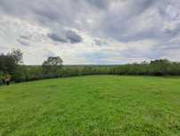 Teren Intravilan 4400mp Babsa comuna Belint