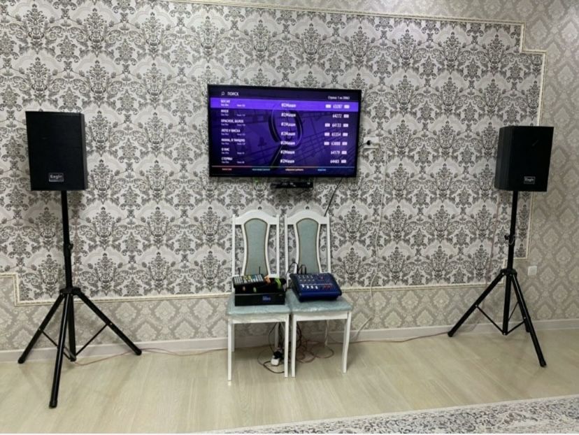 Аренда Караоке, Проектор