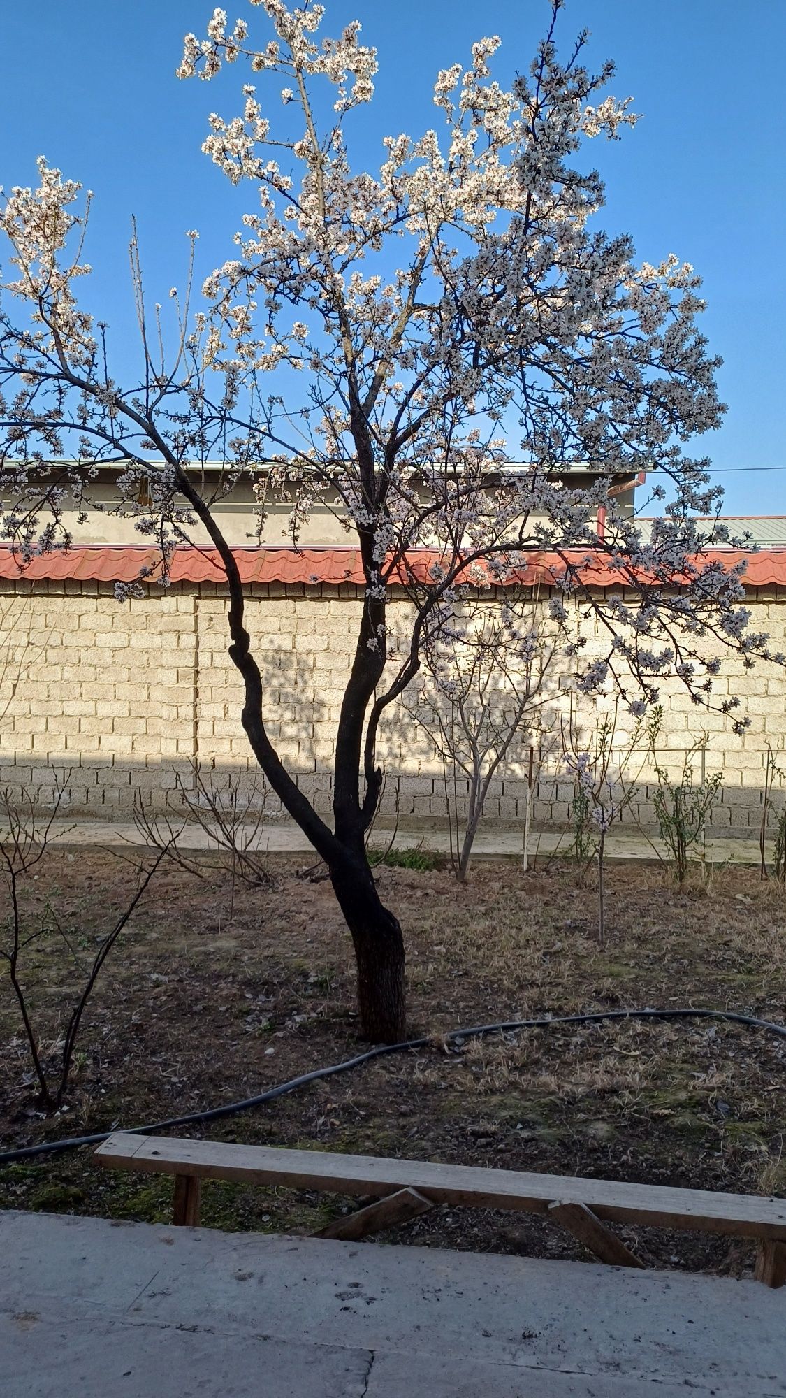 Продаётся дача. Зангиатинском районе.Богзор