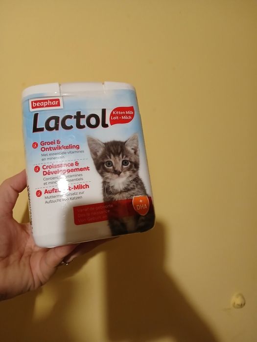 Сухо мляко за малки котенца