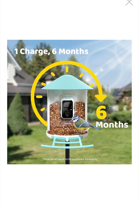 Vand  camera pentru păsări