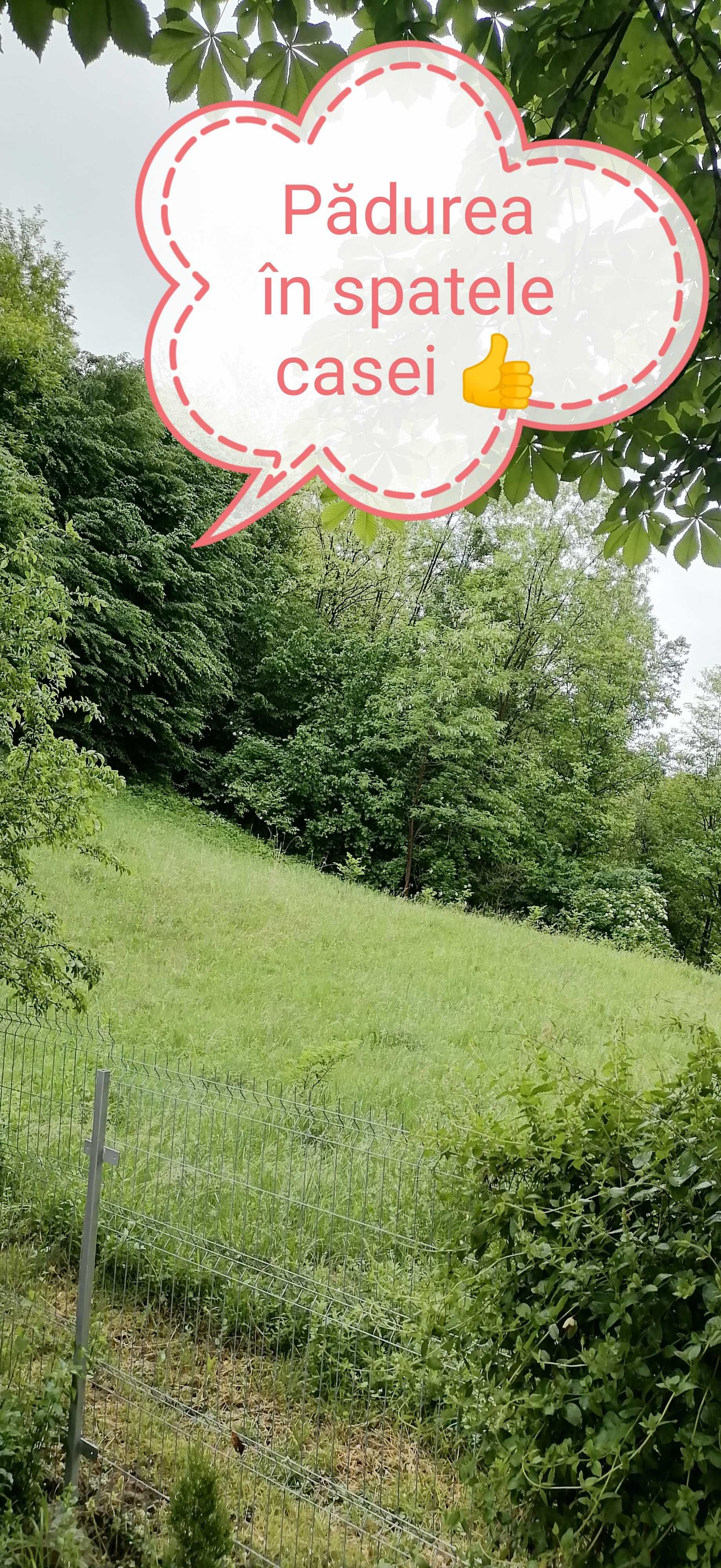 Vând casa de vacanta în Prahova