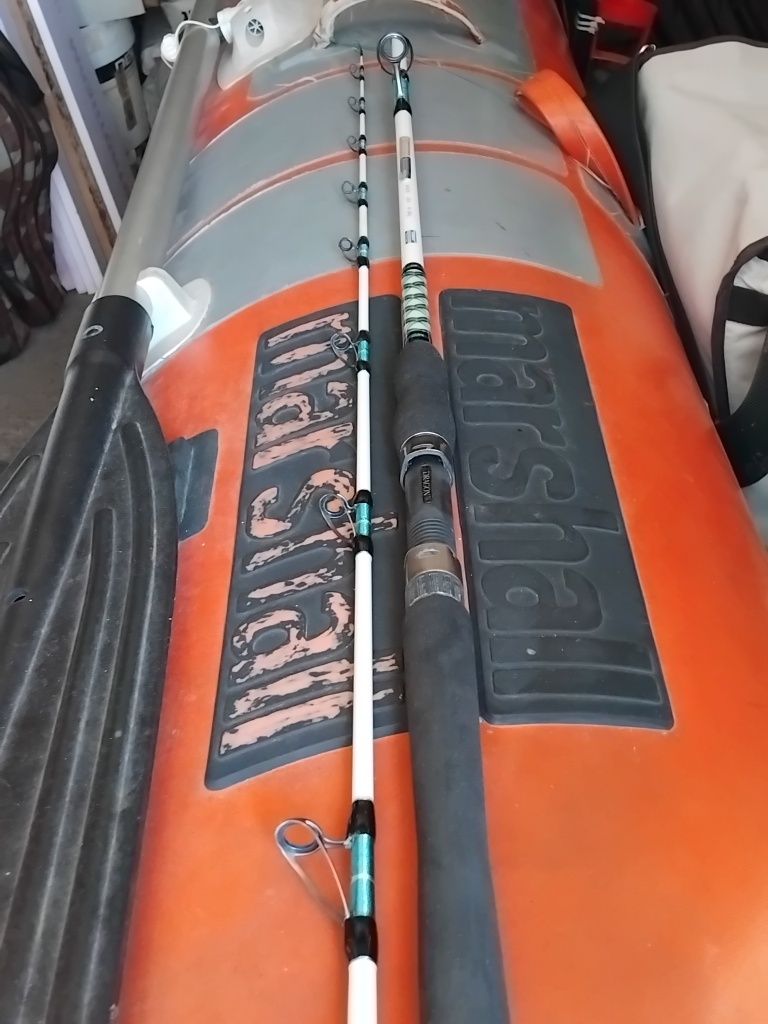 Джигинг въдица Dragon BOAT MASTER JIG, дължина: 2.20 m, акция: 40-200