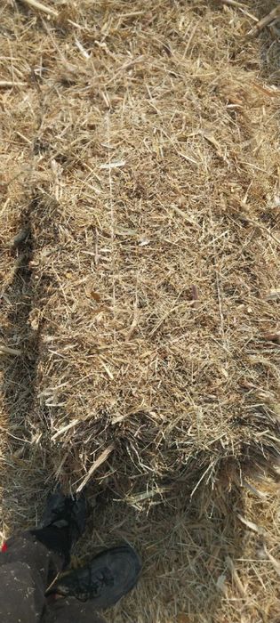 Жугори прес сотилади