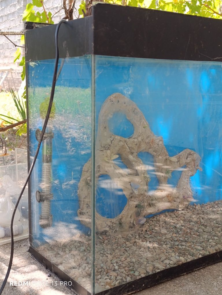 Aquarium baliqlar uchun