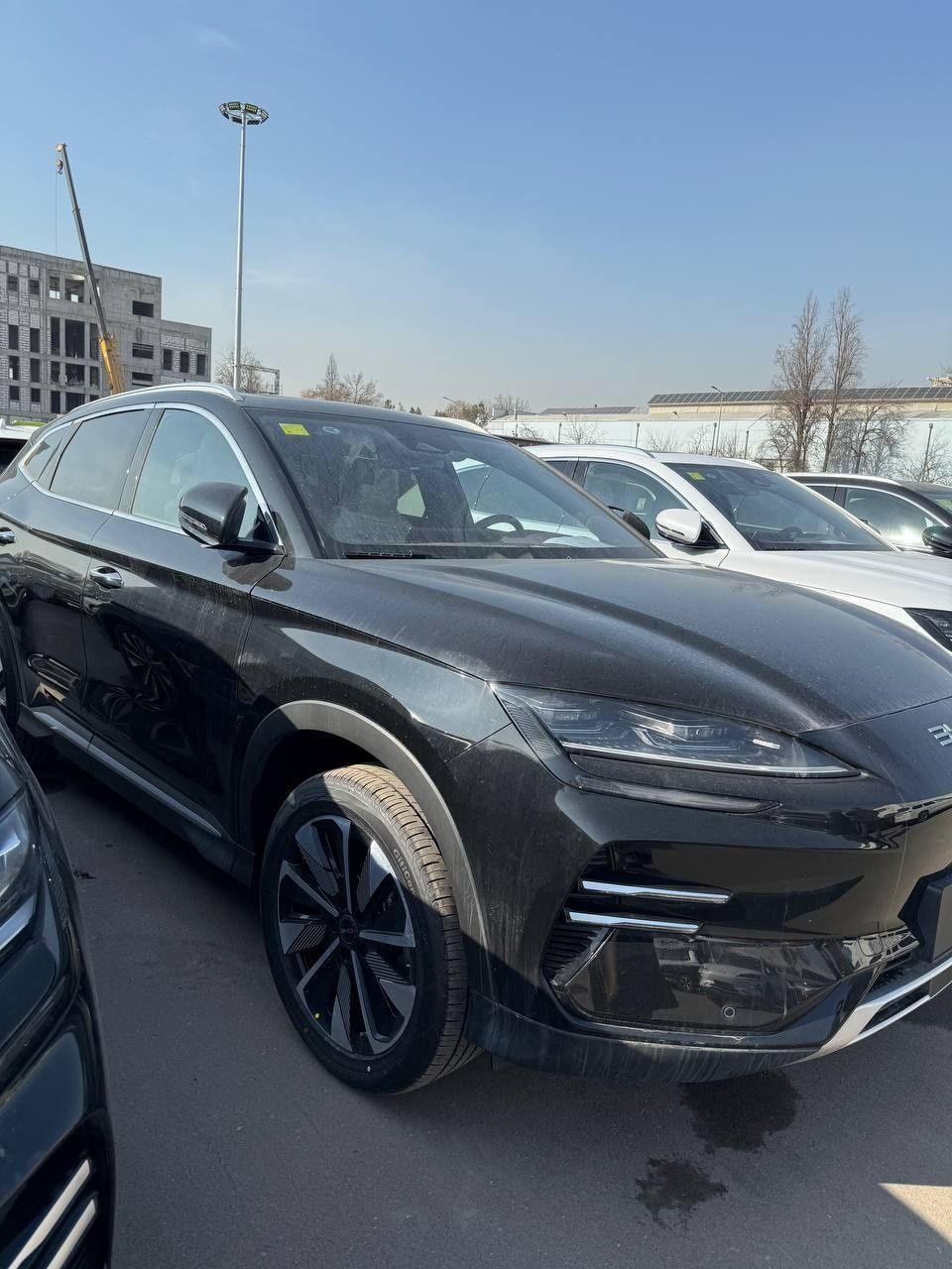 BYD CHEMPION 605 km 2025 kuzov Toshkentda  tayyor