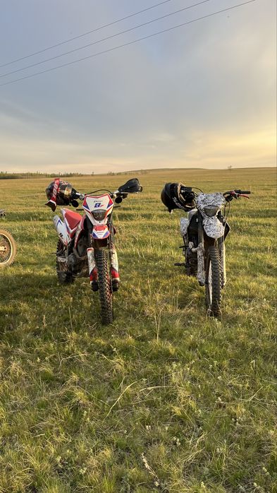 ular h7.              h7