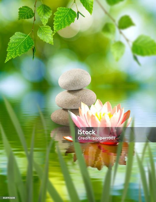 Массаж классический расслабляющий урологический и другие виды