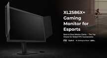 ZOWIE XL2586x+ 24.1 600Hz