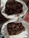 Продам картофель