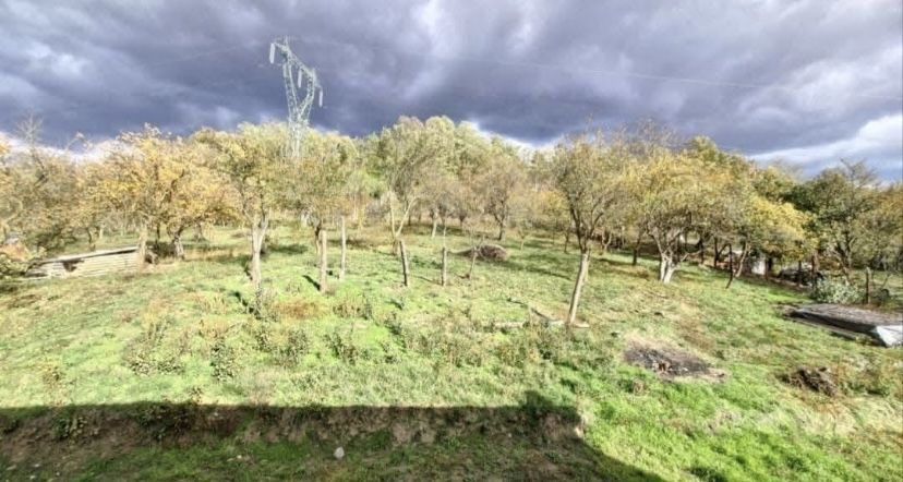 Casa noua 2025 de vanzare