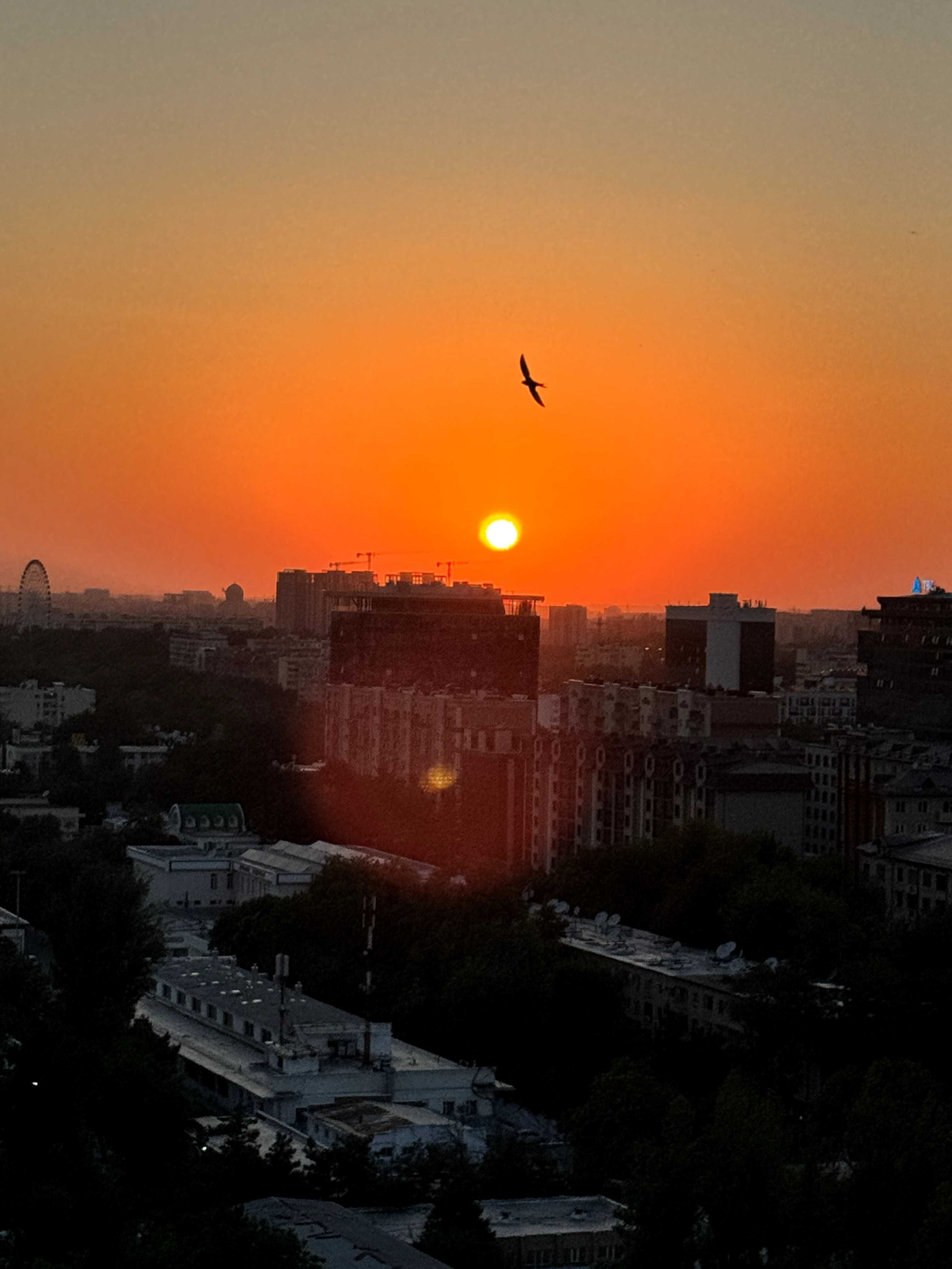 нежилое, офис в центре