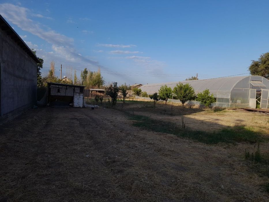 Продажа ДАЧНОГО  участка в Пскенте