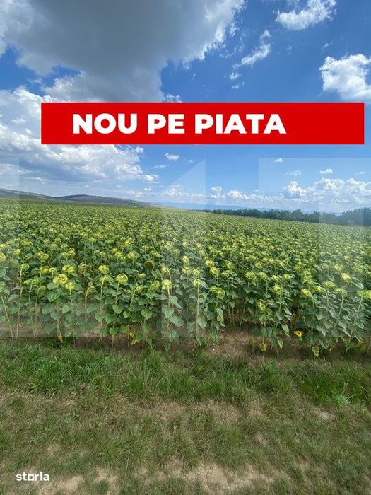 De vanzare teren arabil – 4,58 ha, Moacsa, Covasna