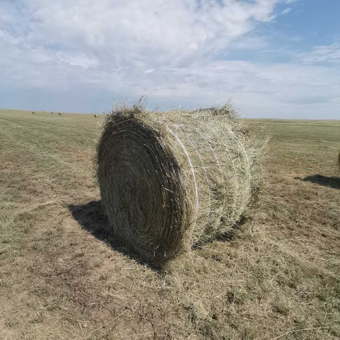 Тюки 350кг житняк