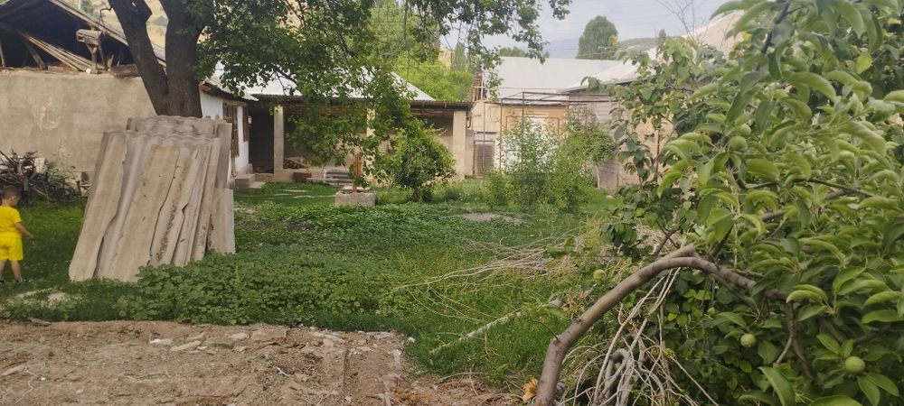 Газалкент шахри Корамозор кишлоги да 17.5 сутк ер сотилади 6000$ сутги