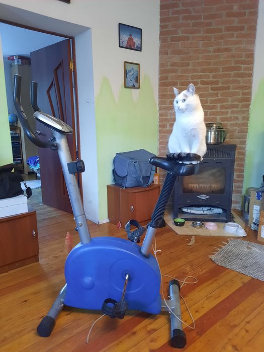 Велотренажёр б/у