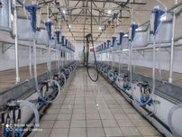 Доильное оборудование. Сут согиш ускунаси