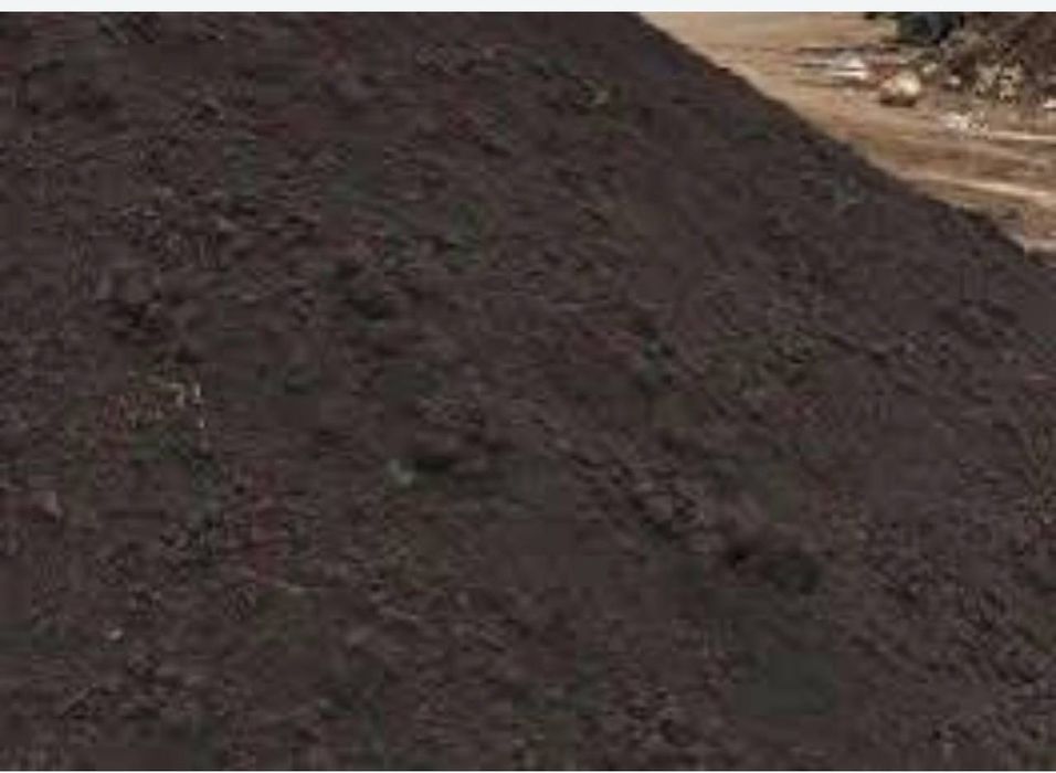 Biogomus sotamiz Optom