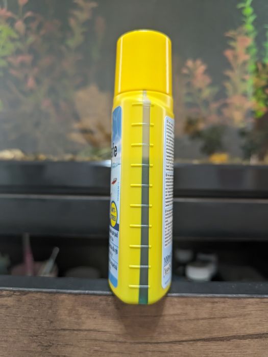 Рыбка Молли баллон