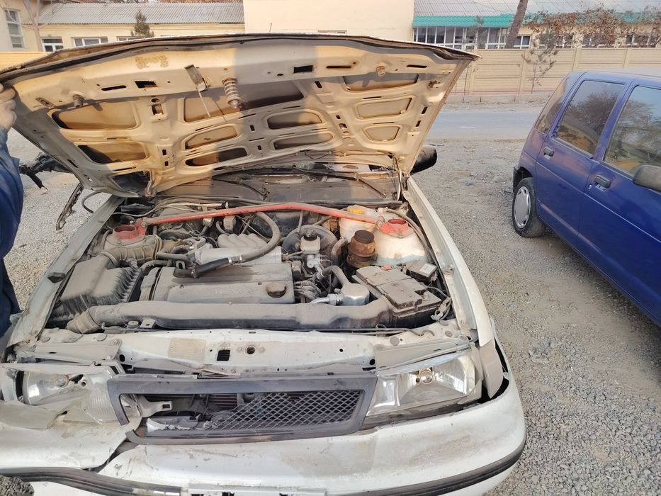 Nexia donc avarenniy