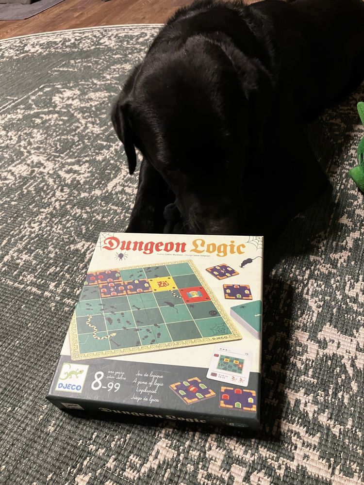 Настолна игра - dungeon logic