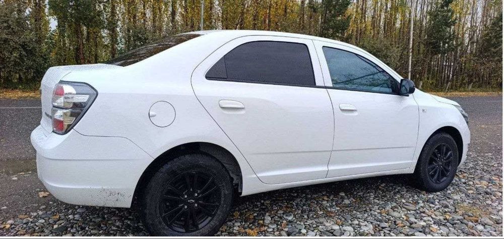 Cobalt midnight 2025