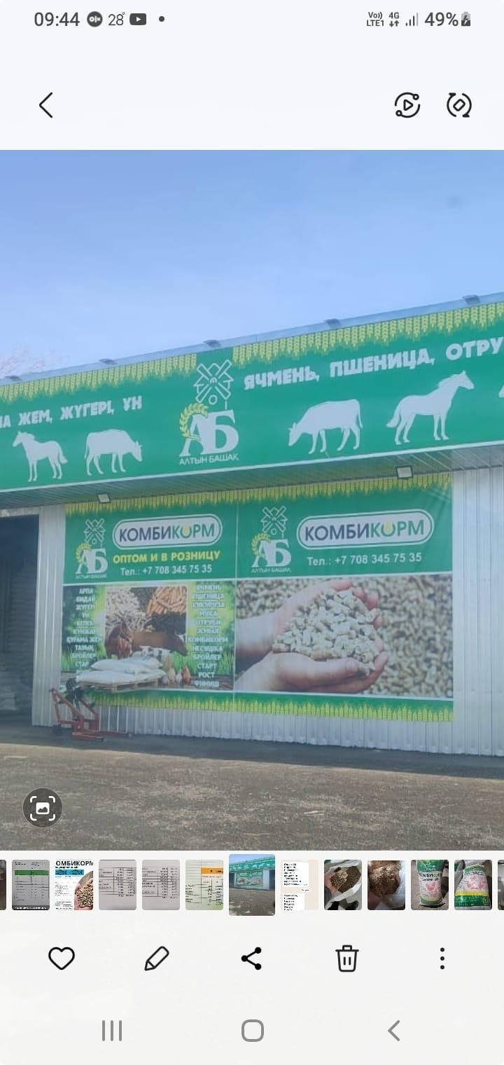 Комбикорм для лошадей гранулы, россыпь
