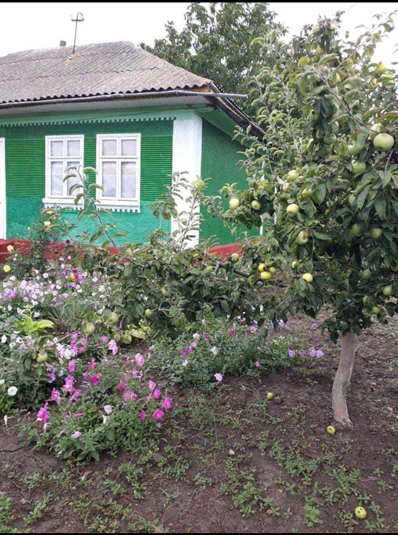 Casa De Vanzare in Falesti (R Moldova)