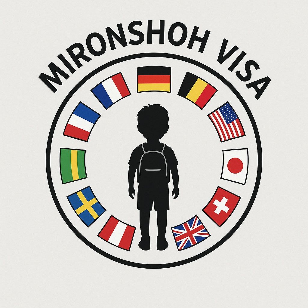 VIZA Manager kursi